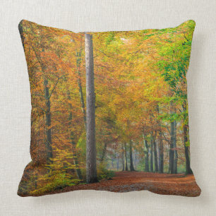 Coussin Arbres avec le feuillage d'automne dans une forêt