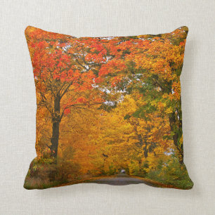 Coussin Arbres colorés d'automne