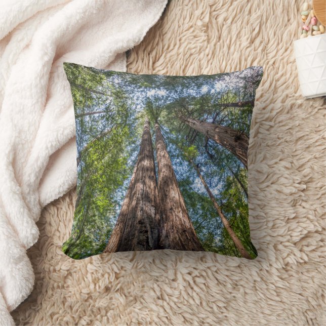 Coussin Arbres de séquoia | Comté de Marin, Californie (Couverture)
