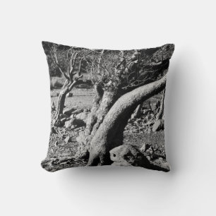 COUSSIN ARBRES NOIRS ET BLANCS
