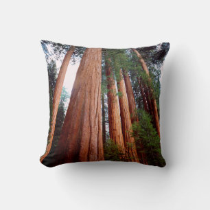 Coussin arbres séquoias géants à feuilles rouges