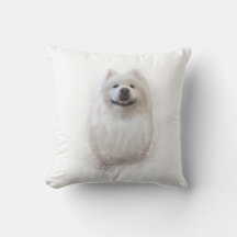 Ari la collection Samoyed