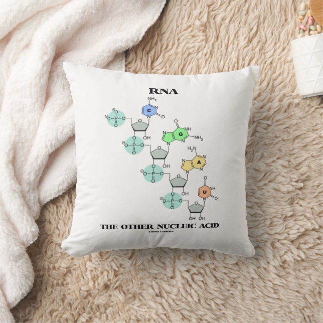 Coussin ARN L'autre Acide Nucléique Structure Chimique (Couverture)