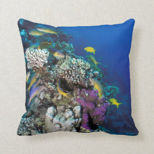 Coussin Around Small Coral