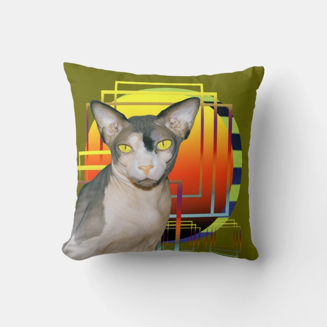 Coussin Arrière - plan transparent de Ninja de chat du (Recto)