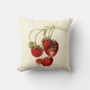 Coussin Art de dessin de fraises vintages
