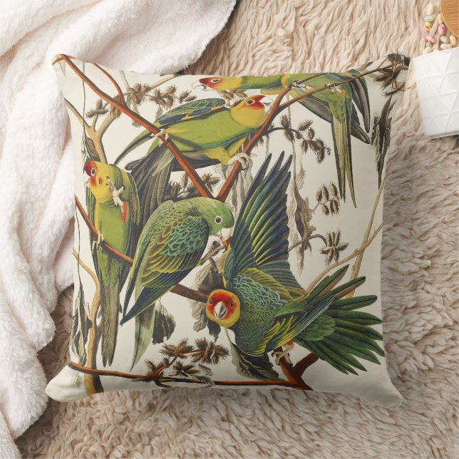 Coussin Art Vintage d'Audubon représentant le Perroquet de (Couverture)