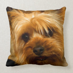 Coussin Attente le chien de Yorkie Terrier d'amour de