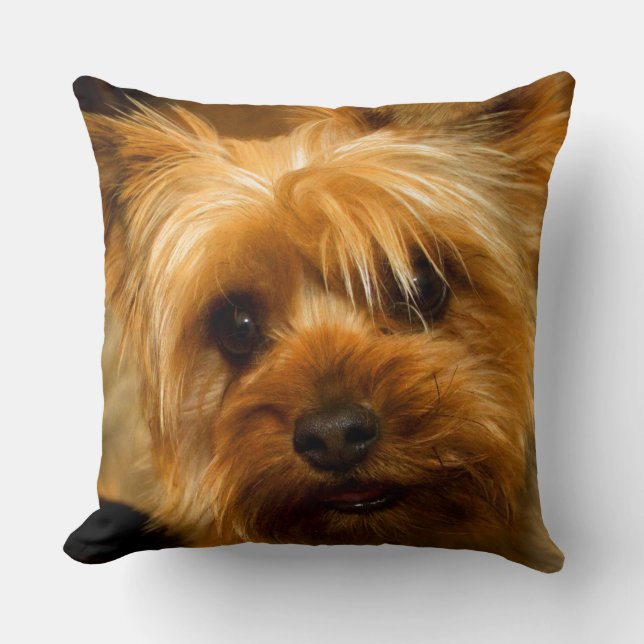 Coussin Attente le chien de Yorkie Terrier d'amour de (Recto)