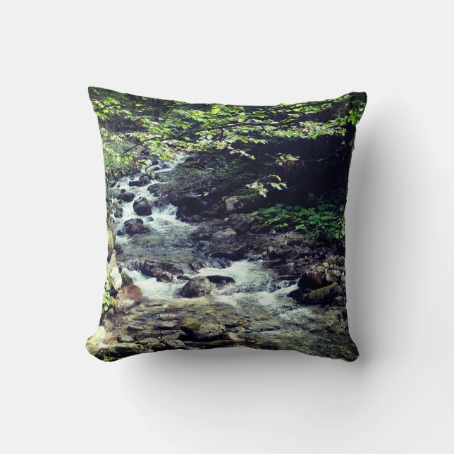 Coussin Au Bord De La Rivière Cuisine (Recto)