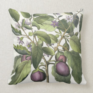Coussin Aubergine : Pallido de fructu de Melanzana, du