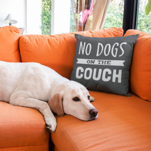 Coussin Aucun chien sur le canapé   Humoristique