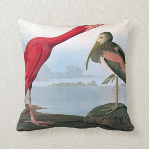 Coussin Audubon : Écarlate IBIS