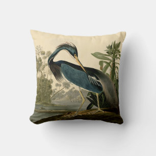 Coussin Audubon Héron de Louisiane Oiseaux Amérique Art