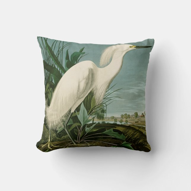 Coussin Audubon Héron de neige Oiseaux d'aigrettes blanche (Recto)