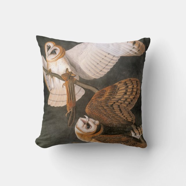 Coussin Audubon : Hibou de grange (Recto)