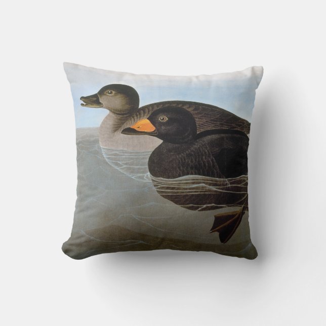 Coussin Audubon : Macreuse noire (Recto)