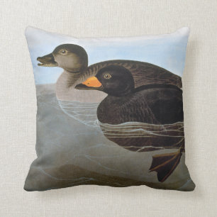 Coussin Audubon : Macreuse noire