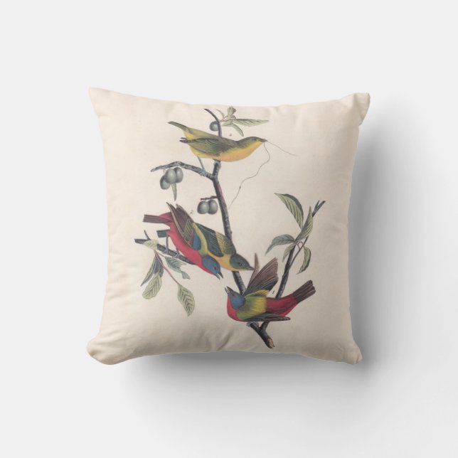 Coussin Audubon Peint Bunting Bird Wildlife (Recto)