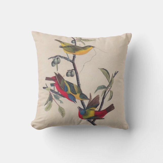 Coussin Audubon Peint Bunting Bird Wildlife (Recto)