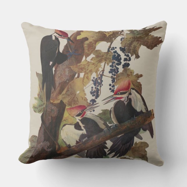 Coussin Audubon Peinture d'Oiseaux Pic Pilé (Recto)