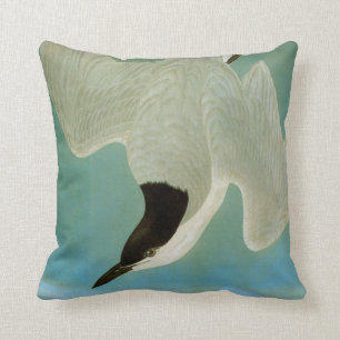Coussin Audubon : Sterne Mouette-Affichée