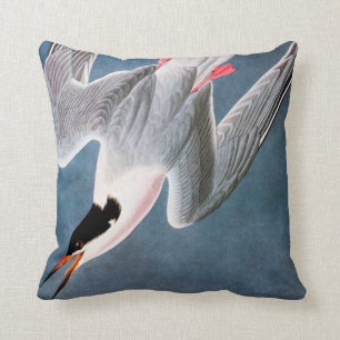 Coussin Audubon : Sterne rose