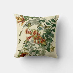 Coussin Audubon Throsé de colibri