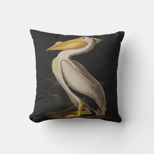 Coussin Audubon White Pelican Bird Amérique (Recto)