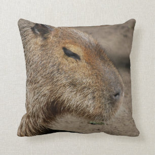 Coussin australien de Capybara
