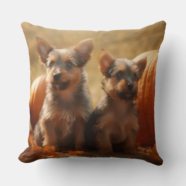Coussin Australien Terrier Chiot Automne Citrouille de pla (Recto)
