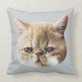 Coussin authentique de jet de charpentier