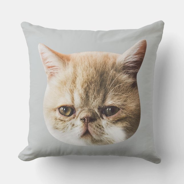 Coussin authentique de jet de charpentier (Recto)