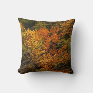 Coussin Automne au Parc d'état de Treman
