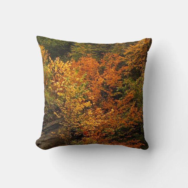 Coussin Automne au Parc d'état de Treman (Recto)