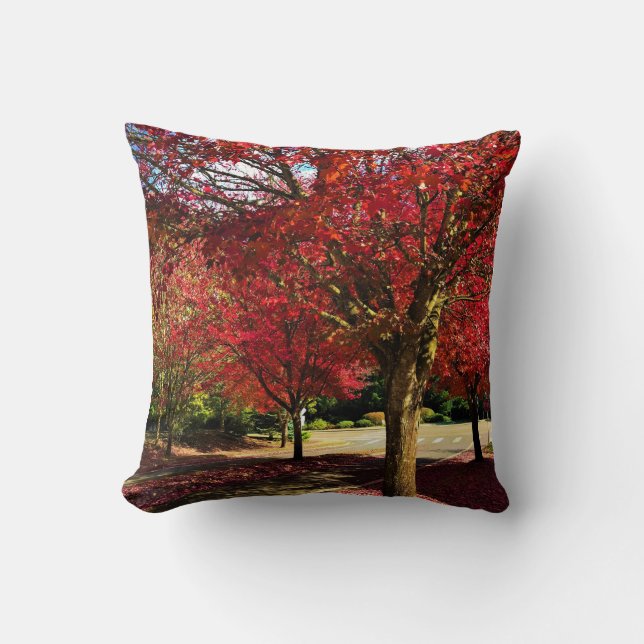 Coussin Automne dans le quartier, Oregon (Recto)