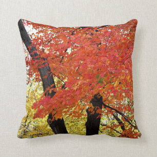 Coussin Automne d'arbre d'érable