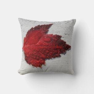 Coussin automne Feuille d'érable rouge sur bois blanc