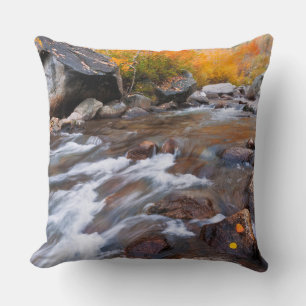 Coussin Automne le long de Bishop Creek, CA