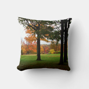 Coussin Automnes Arbres Automne Parc d'état de Niagara Fal