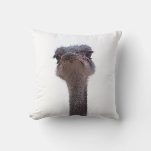 Coussin autruche