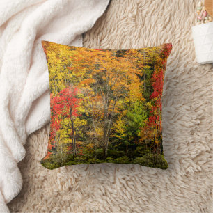 Coussin Autumn at Sims Pond North Carolina, Blue Ridge