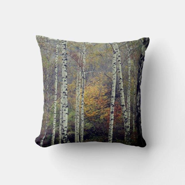 Coussin Autumn Birch Forrest Photo Thaillot Cushion (Recto)