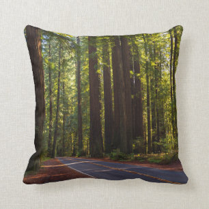 Coussin Avenue de séquoia géant la Californie