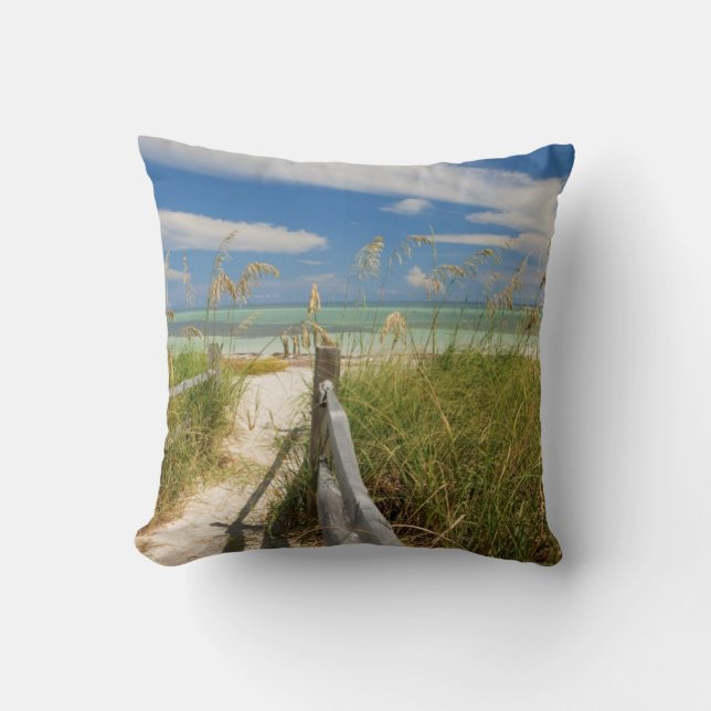 Coussin Avoine de mer Uniola paniculata) poussant près de  (Recto)