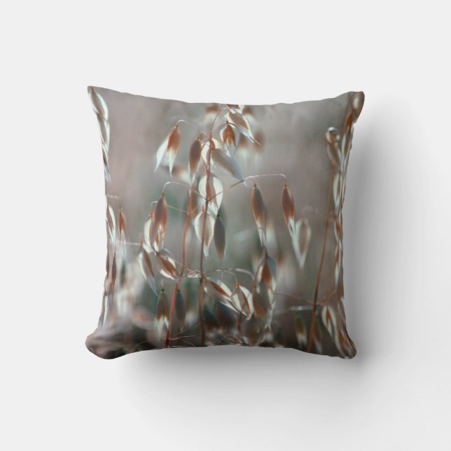Coussin Avoine Mûre (Avena Sativa) Gros Plan. Ceres, Bolan (Recto)