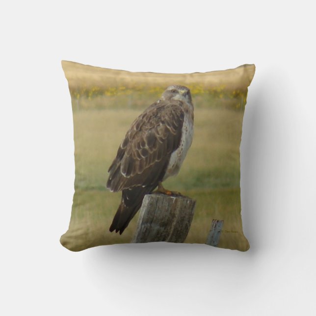 Coussin B33 Buse de Swainson (Recto)