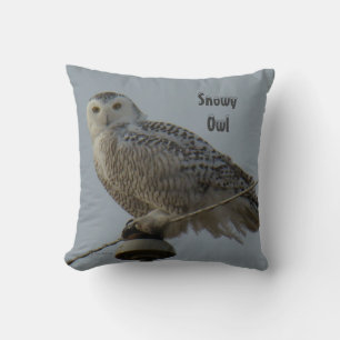 Coussin B38 Harfang des neiges