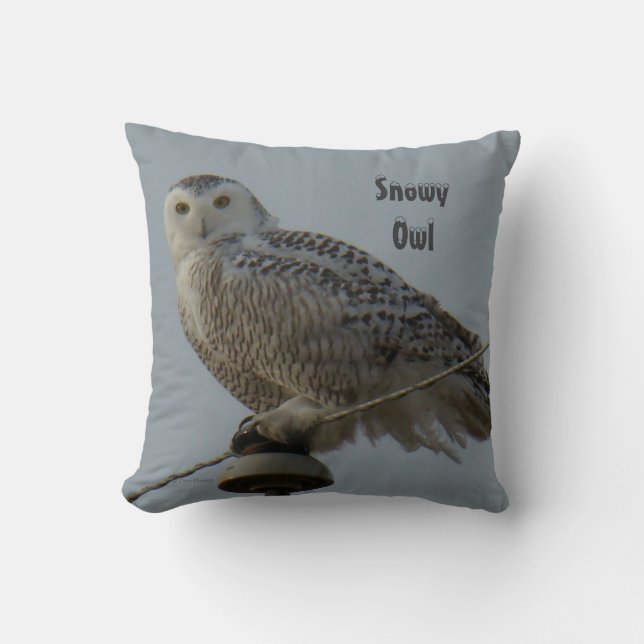 Coussin B38 Harfang des neiges (Recto)