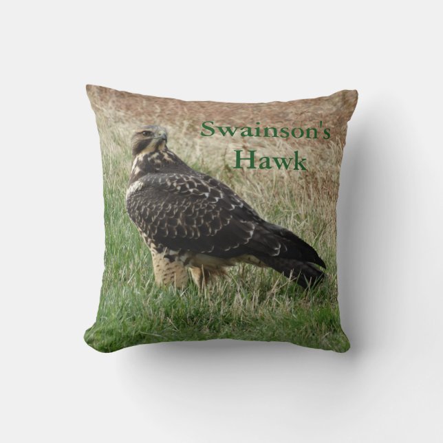 Coussin B52 Buse de Swainson (Recto)